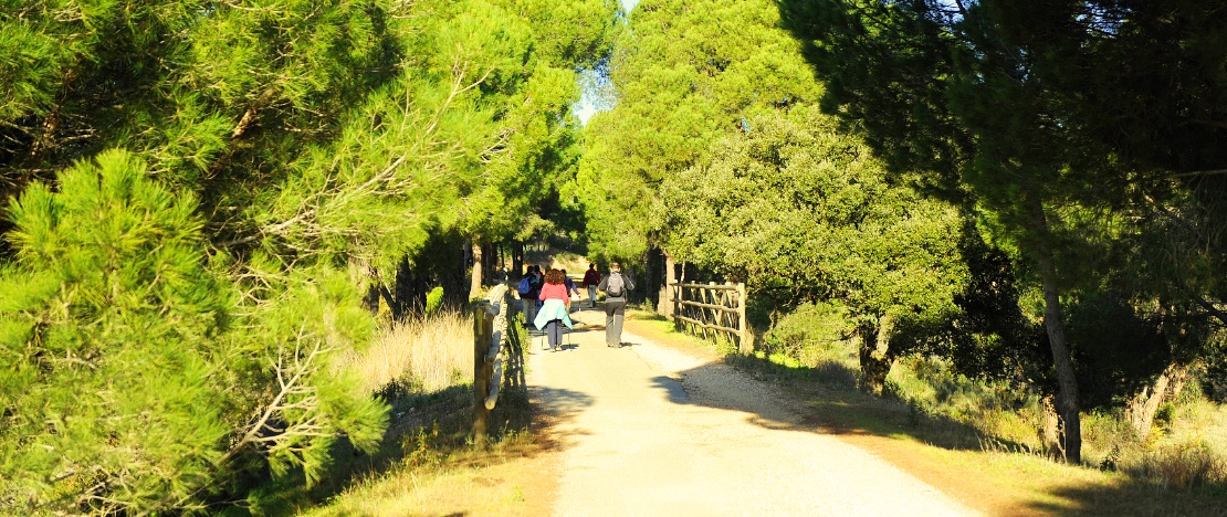 Touristes sur la voie verte des moulins à eau de Valverde del Camino, près de Huelva, Andalousie