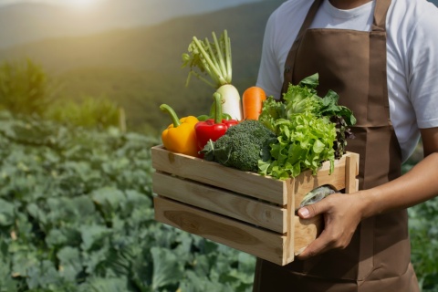 Granjero con caja de productos ecológicos