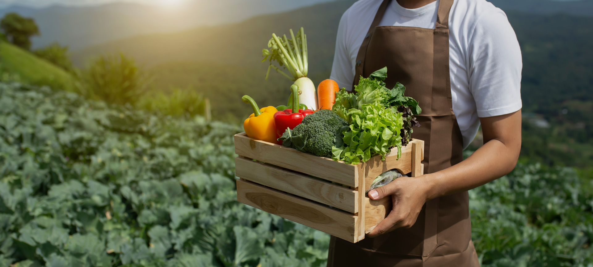 Contadino con scatola di prodotti biologici Contadino con scatola di prodotti biologici