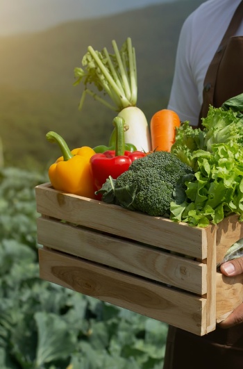 Granjero con caja de productos ecológicos