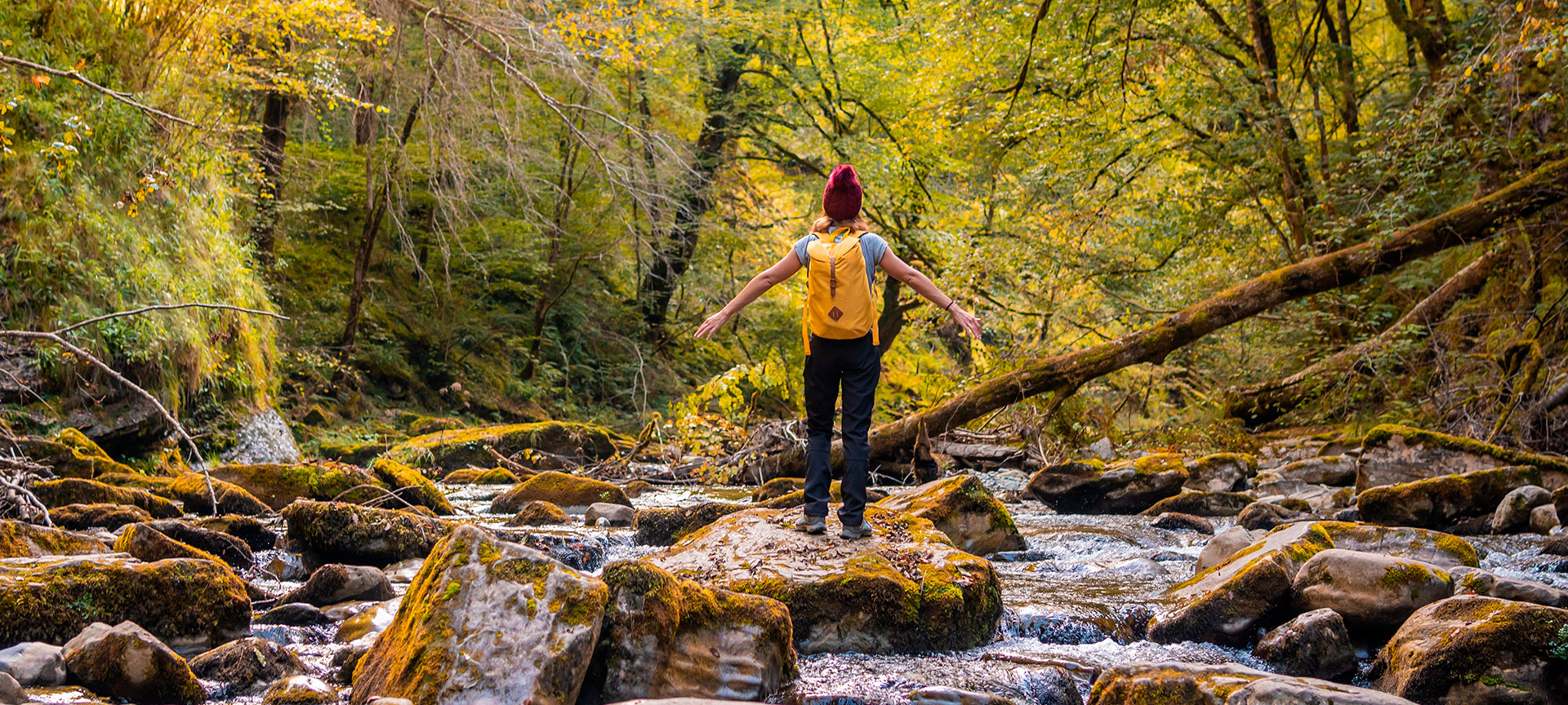Turista en la selva de Irati, Navarra Turista en la selva de Irati, Navarra