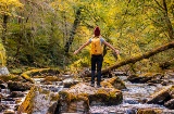 Touriste dans la forêt d