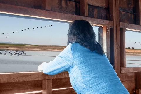 Woman observing bird life at a nature reserve