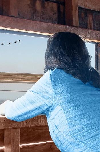 Woman observing bird life at a nature reserve