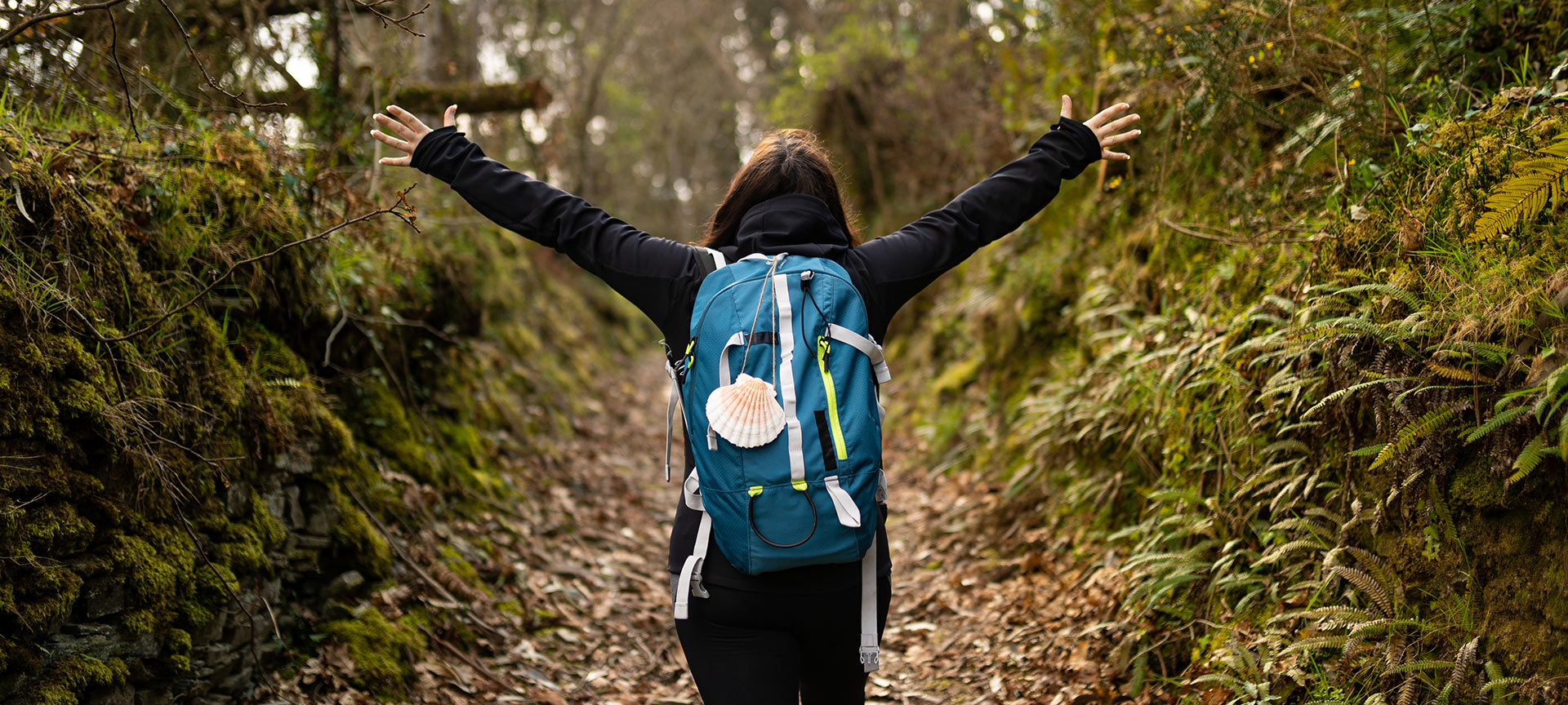 Pilger auf dem Jakobsweg Pilger auf dem Jakobsweg