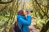 Tourist im Garajonay-Nationalpark auf La Gomera, Kanarische Inseln