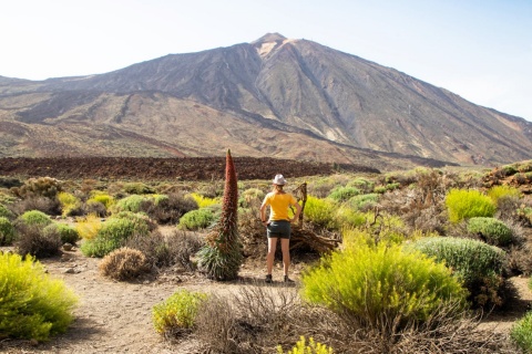 Touriste dans le parc national du Teide à Tenerife, îles Canaries