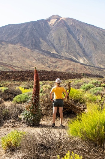 Tourist im Nationalpark El Teide auf Teneriffa, Kanarische Inseln