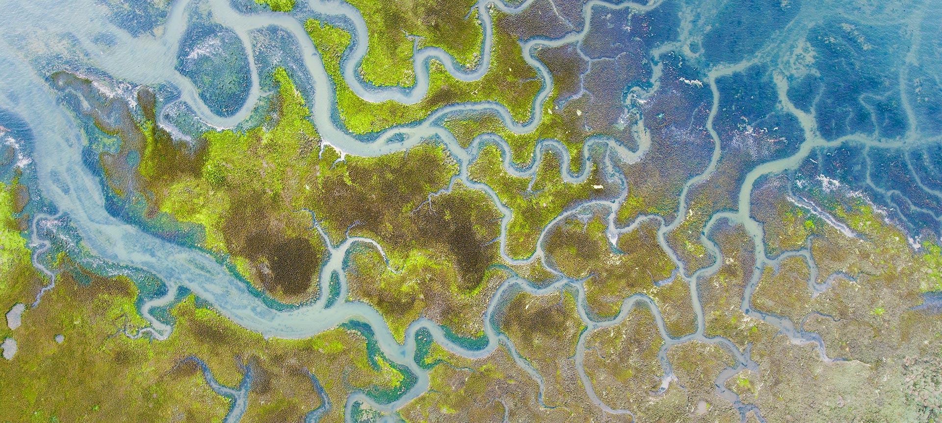 Naturpark Marismas de Santoña, Victoria y Joyel in Kantabrien Naturpark Marismas de Santoña, Victoria y Joyel in Kantabrien