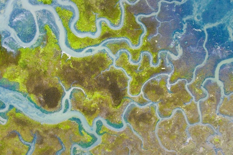 Parc naturel des marais de Santoña, Victoria et Joyel en Cantabrie