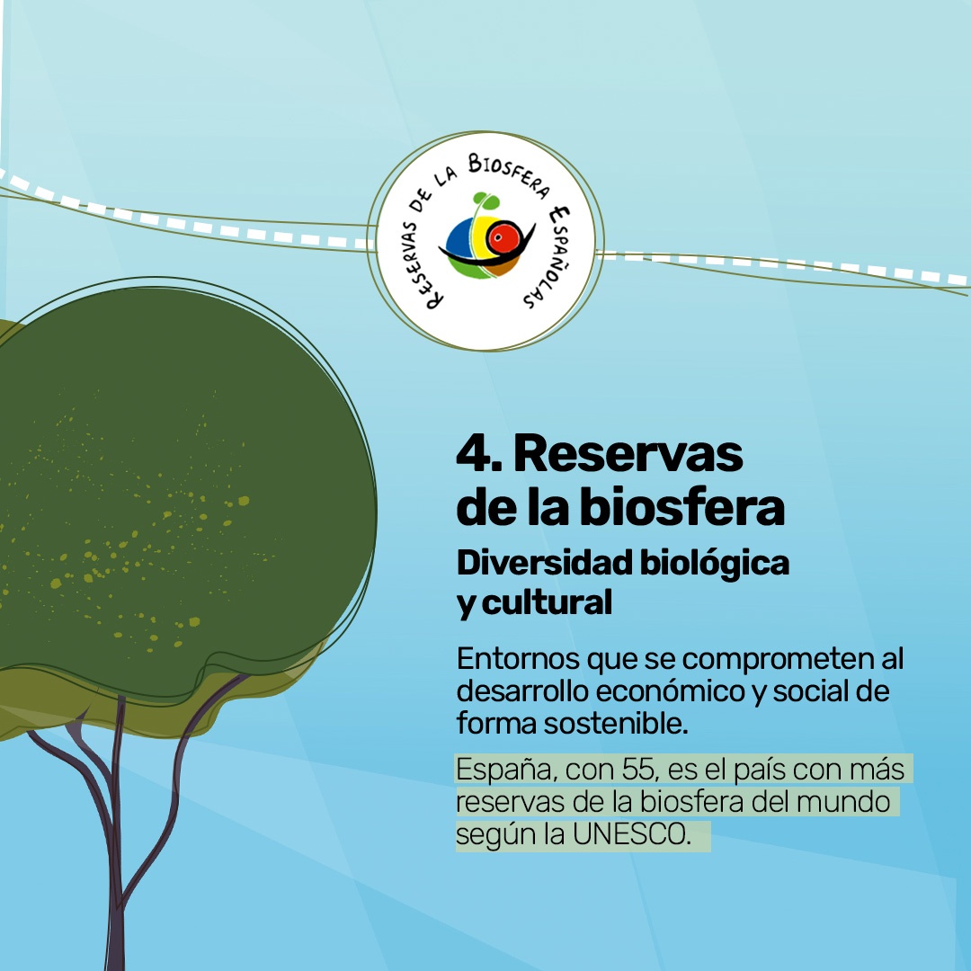 Cómo identificar las principales certificaciones en espacios naturales