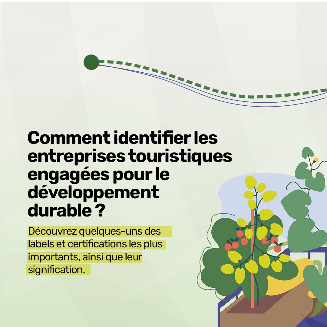 Comment identifier les entreprises touristiques engagées pour la durabilité