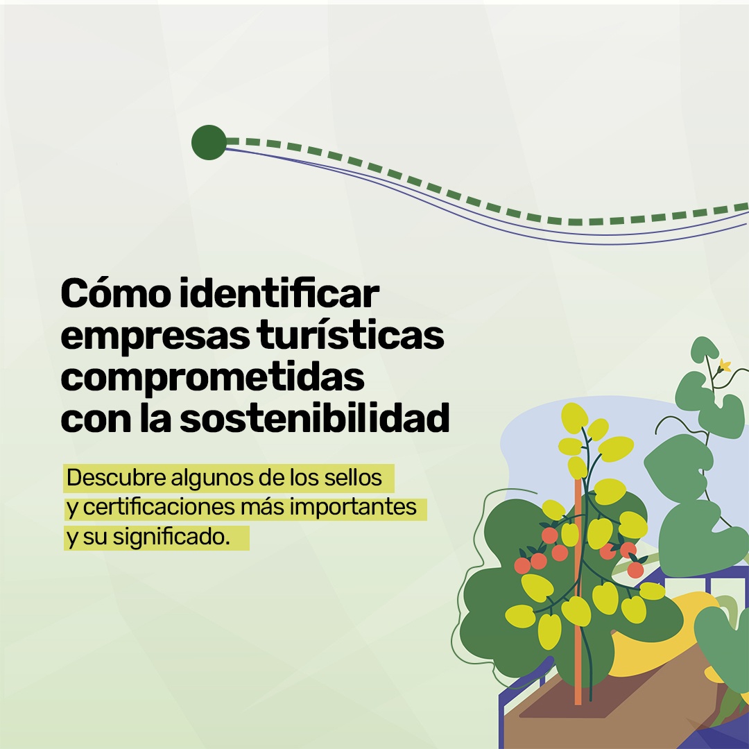 Cómo identificar empresas turísticas comprometidas con la sostenibilidad