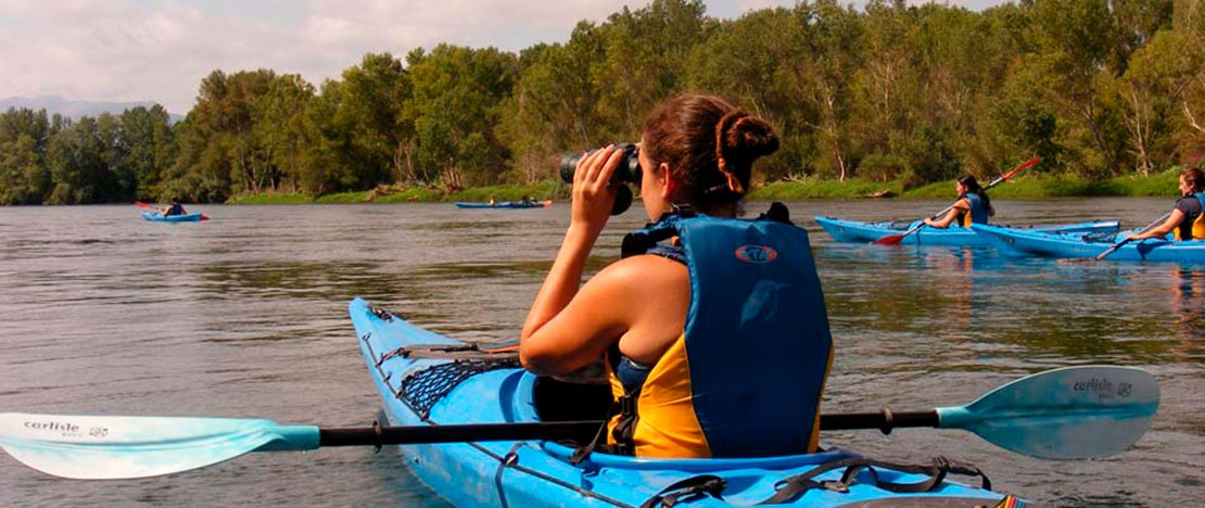 Touriste observant les oiseaux en kayak entre Garcia et Móra de Ebro, près de Tarragone, Catalogne