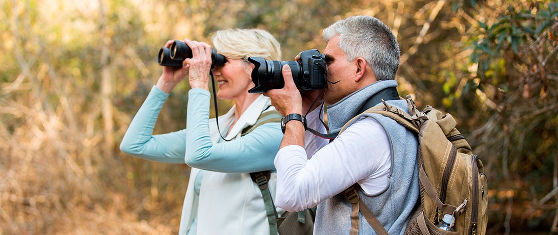 Touristes regardant et photographiant les oiseaux