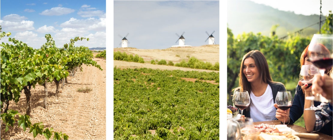 Izquierda: Viñedos en La Mancha / Centro: Viñedos y molinos de La Mancha / Derecha: Turista en un viñedo