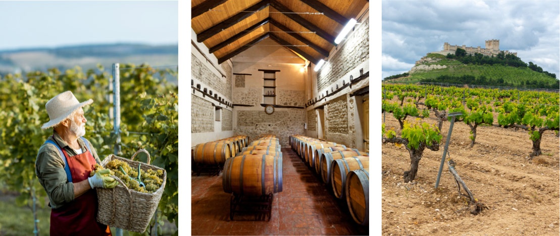 Left: Viticulturist in a vineyard/Centre: Ribera del Duero D.O Winery/Right: Vineyards in Castile and Leon