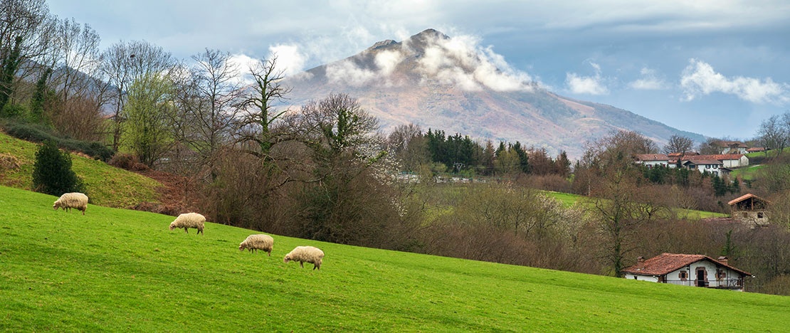 Rural landscape in the Baztán valley, Navarra