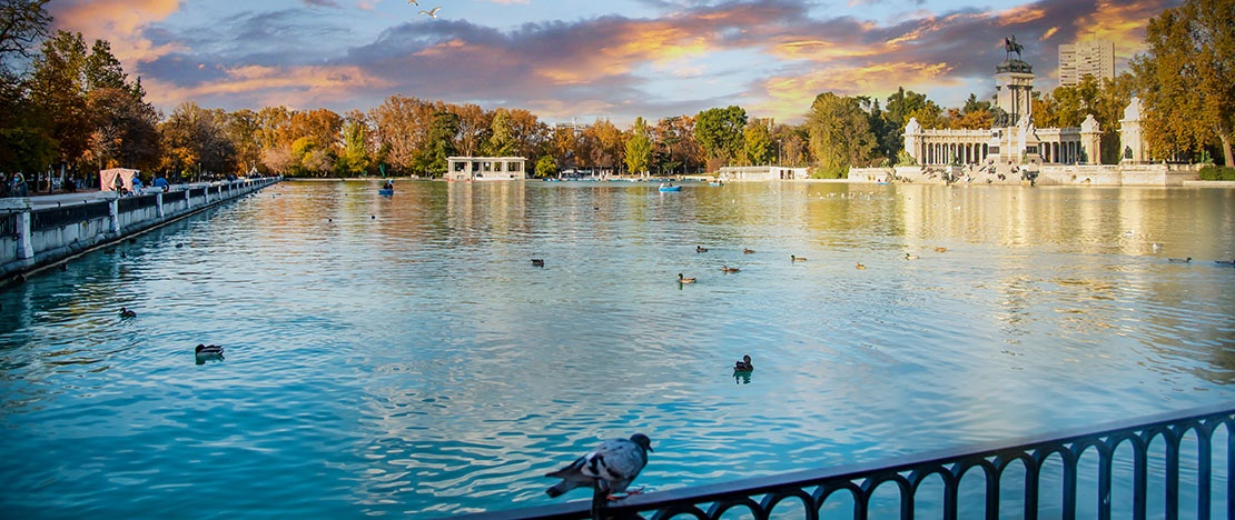 Boating pond in El Retiro Park in Madrid