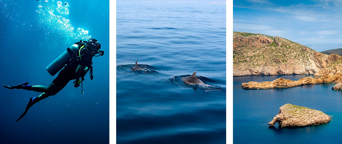 Izquierda: Buceador / Centro: Avistamiento de cetáceos en en el mar de Alborán, Andalucía / Derecha: Parque Nacional de Cabrera en Baleares