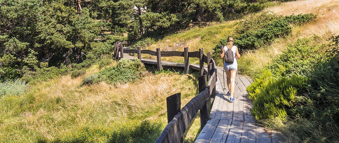 Turista en el Parque Nacional de la Sierra de Guadarrama, Comunidad de Madrid