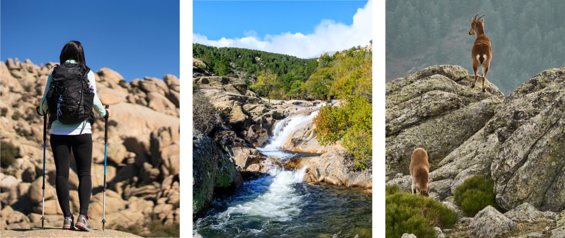 Links: Eine Person in der Sierra de Guadarrama / Mitte: Das Gebiet von La Pedriza / Rechts: Bergziege in der Sierra de Guadarrama