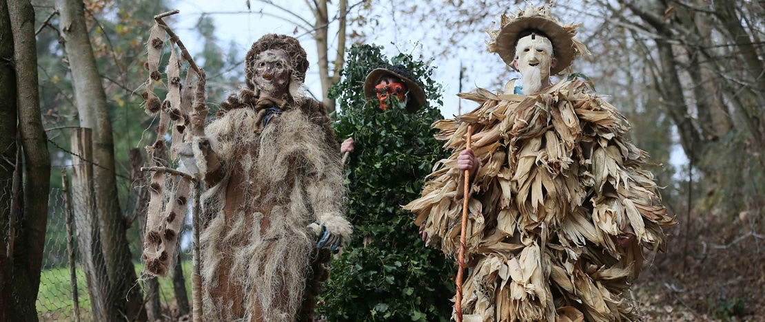 Fiestas de “La Vijanera” 2015