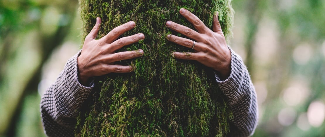 Dimostrazione di affetto abbracciando un albero nel bosco