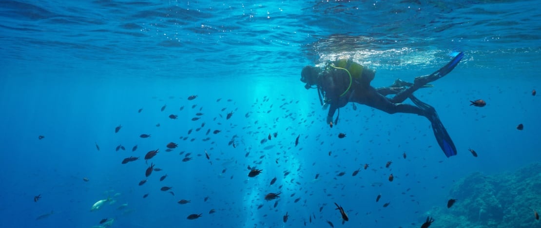 Diver in the area of the Medes Islands in Girona, Catalonia