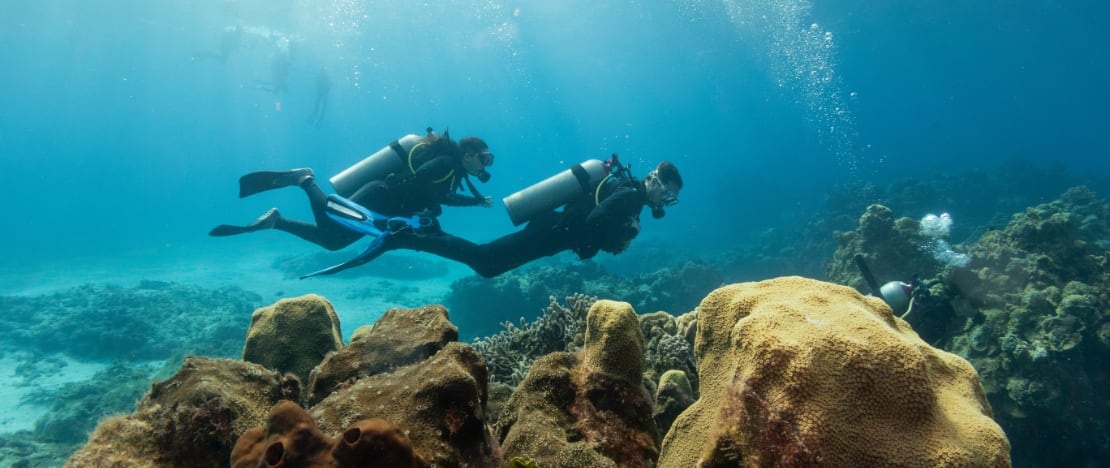 Group of divers on the seabed