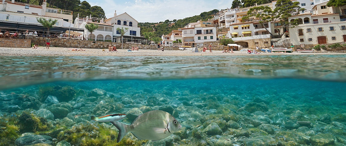 Cala Sa Tuna, Begur, Girona