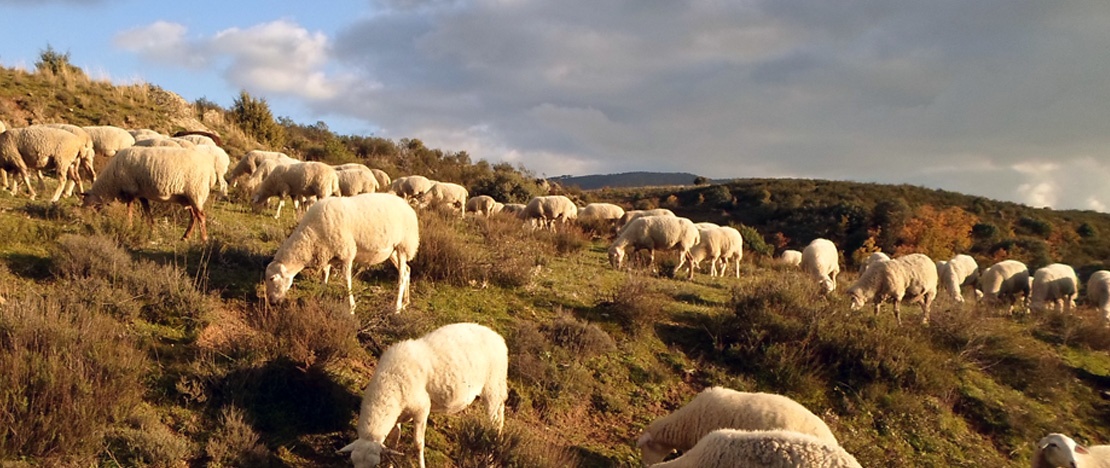 Cervera de Buitrago, Sierra Norte de Madrid