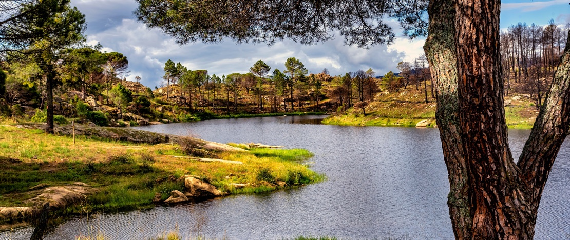 El Hoyo de Pinares, Ávila, Castilla y Leon