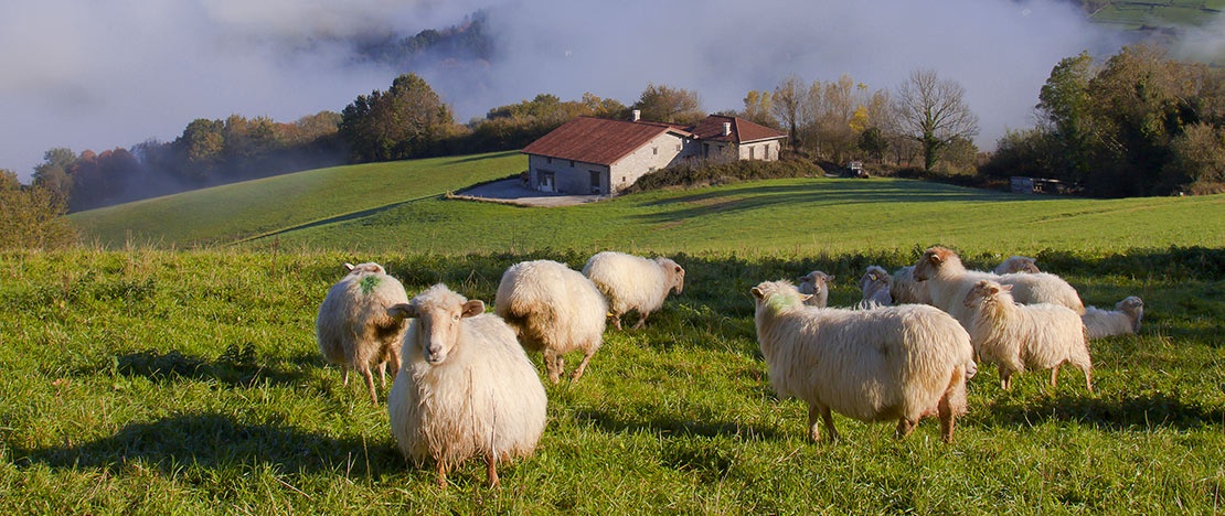 Gainza dans la région du Goierri, au Pays basque