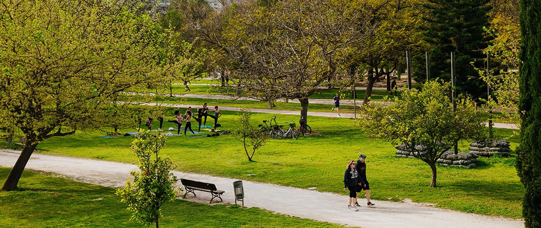 Jardin du Turia, Valence