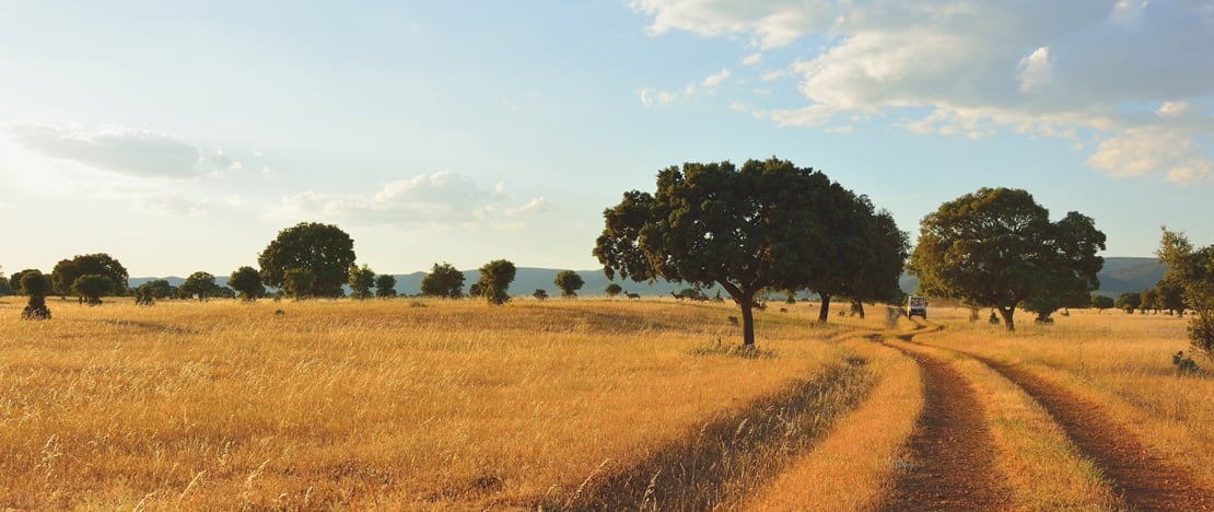 Nationalpark Cabañeros in Ciudad Real, Kastilien-La Mancha