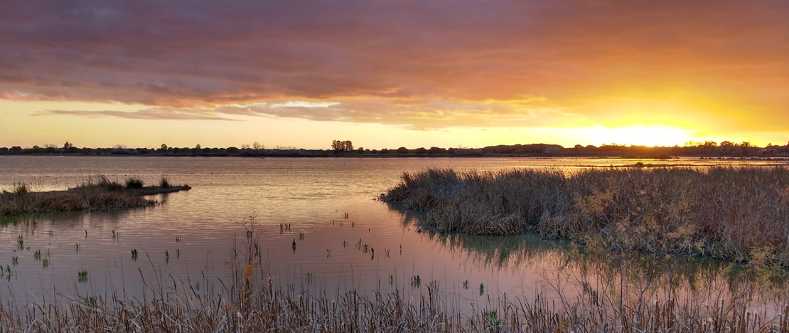 Marismas de El Rocío en el Parque Nacional de Doñana en Huelva, Andalucía