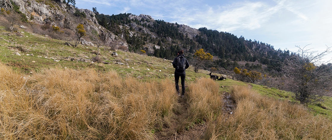 Eine Person im Nationalpark Sierra de las Nieves, Andalusien