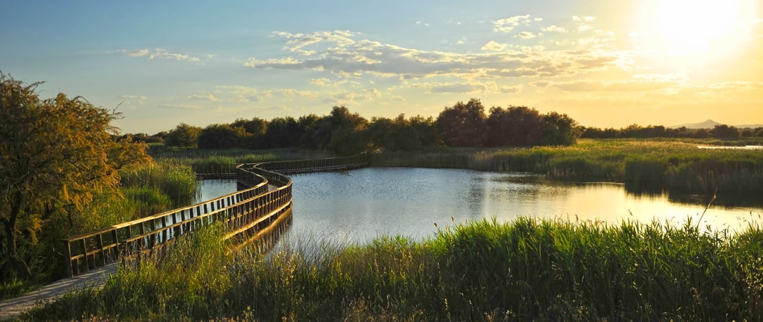 Parque Nacional de Las Tablas de Daimiel en Ciudad Real, Castilla-La Mancha