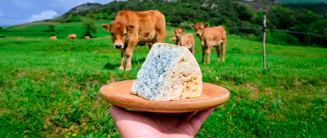 Fromage Cabrales. Asturies